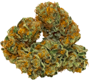 cannabis-bud